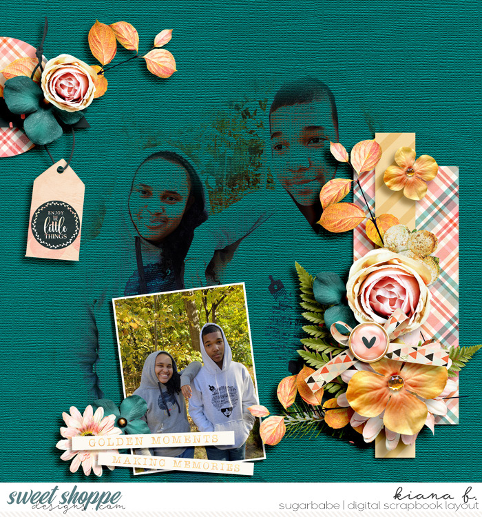 1029_dsi-babe
