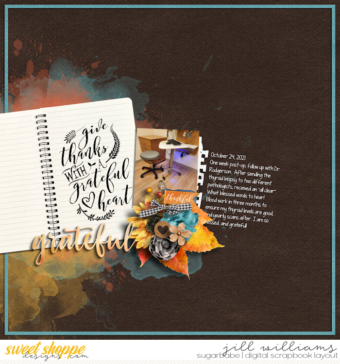10_31_2023_GRATITUDE_DSI
