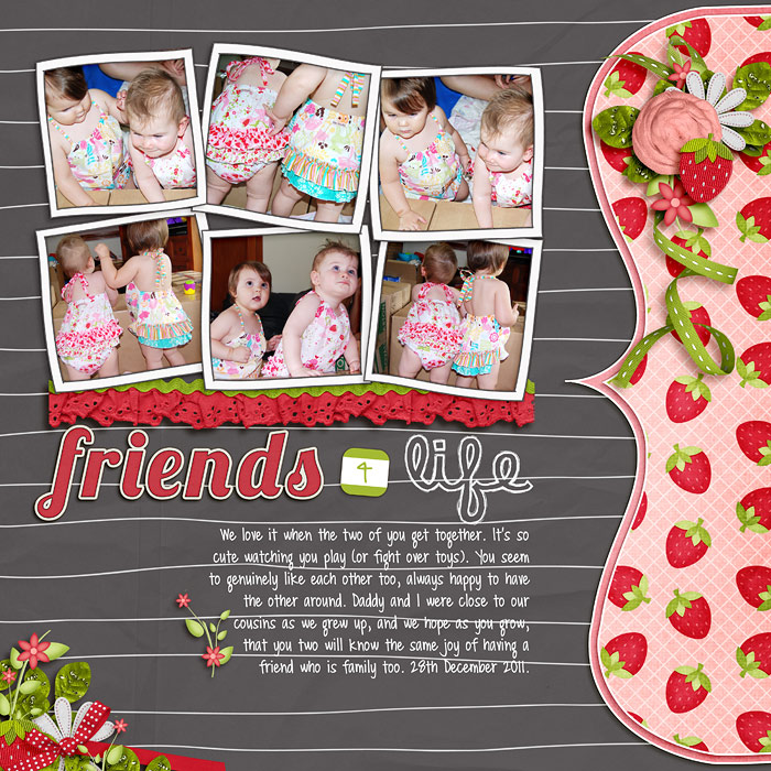 11-12-28-Friends-for-life-web