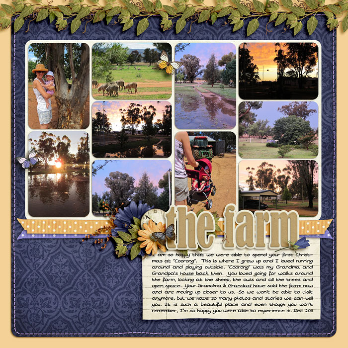11-12-30-The-Farm-1-web