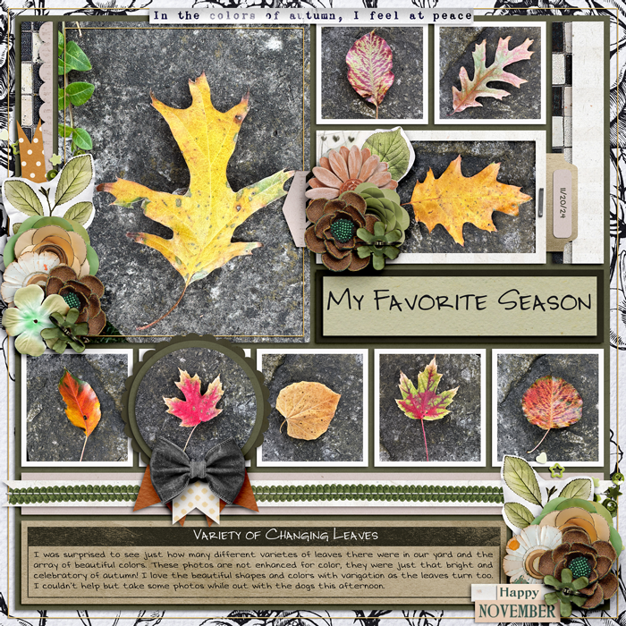 11-24-Leaves-are-Changing-700