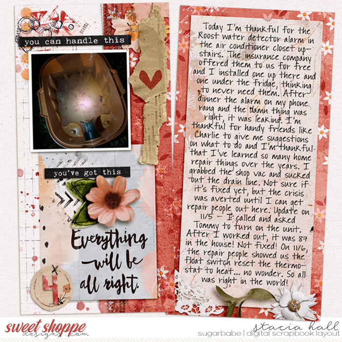 110420-roost-wm
