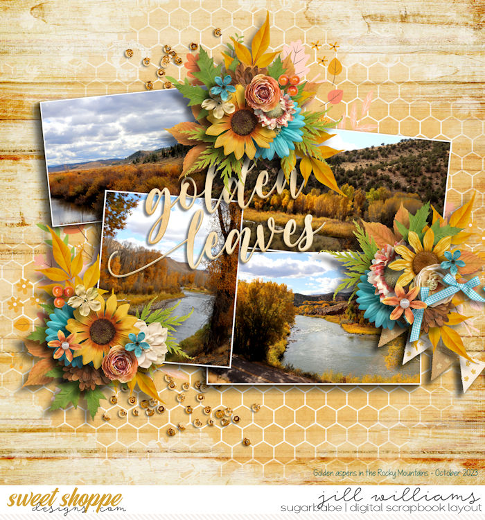 11_1_2023_AUTUMN_MEMORIES_KCB