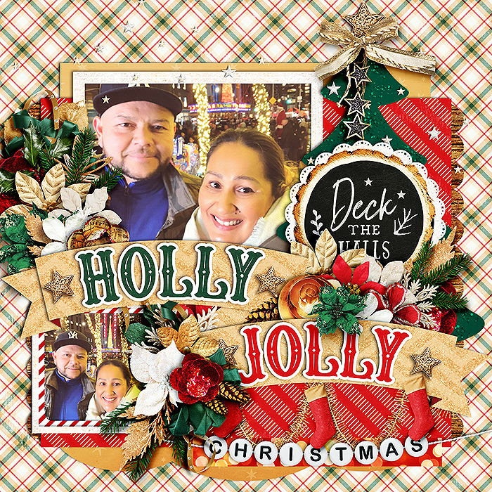 12-14_hjc_dsi_holidaydelights-cschneider-ttss5