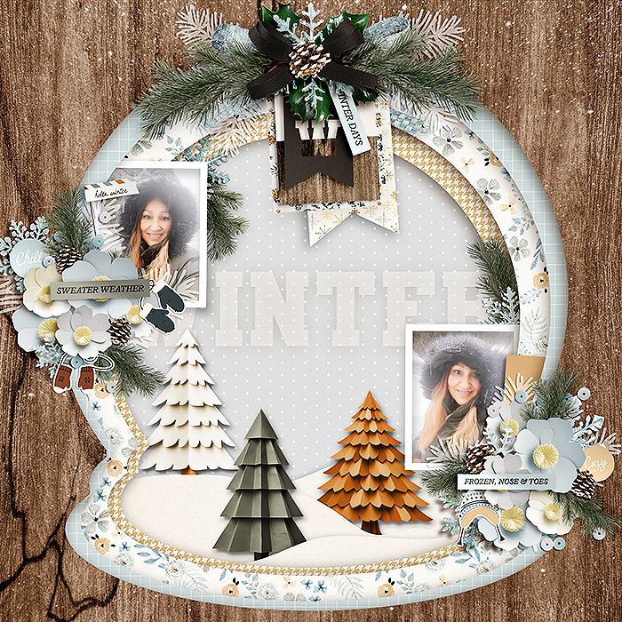 12-1_wd-ki_hellowinter