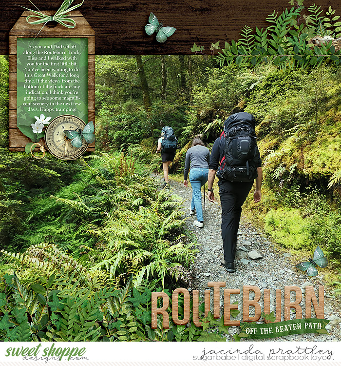 121-12-16-Routeburn-700b