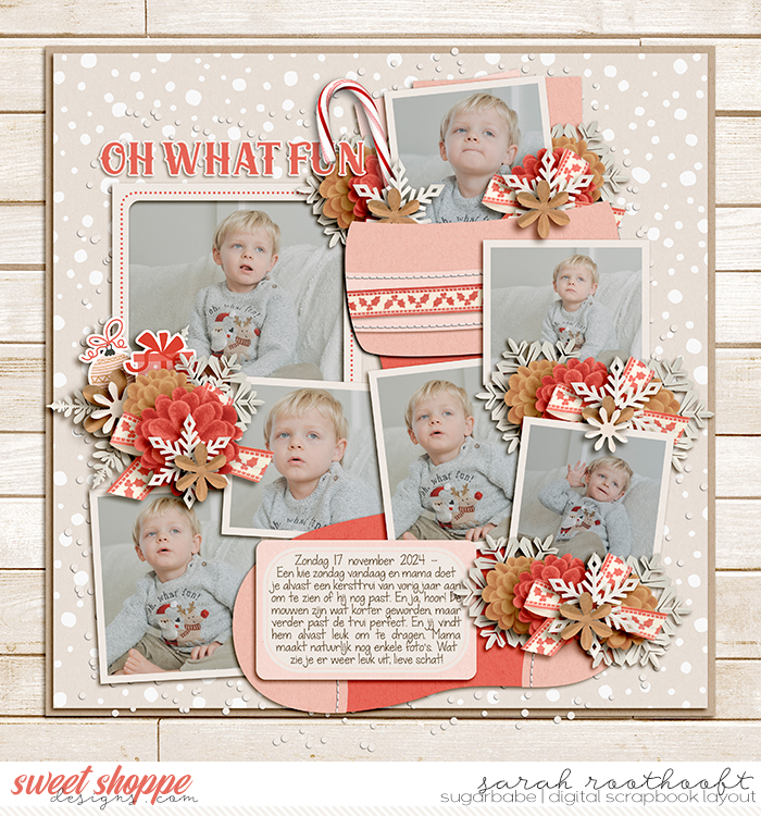 12PhotoPalooza483Christmas2web