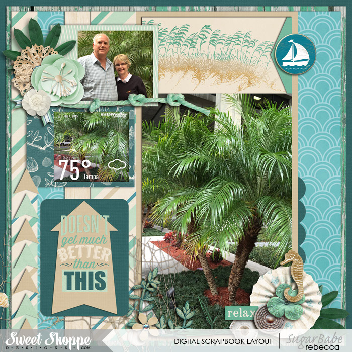 12_Florida_palm-trees
