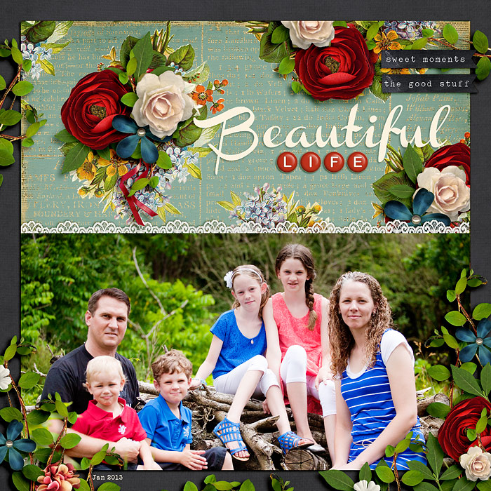 13-01-10-Beautiful-Life-700