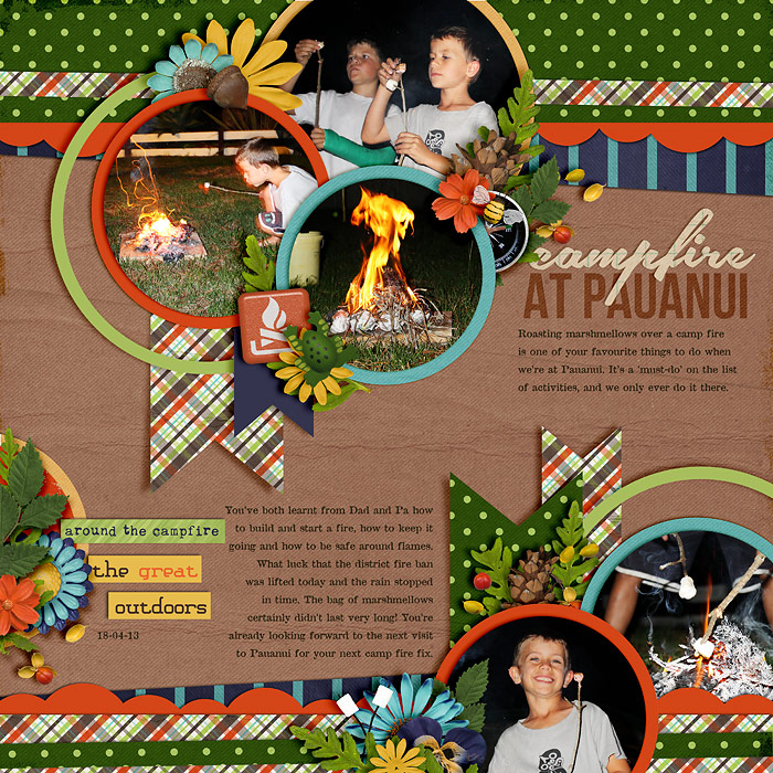 13-04-18-campfire-at-pauanui-700