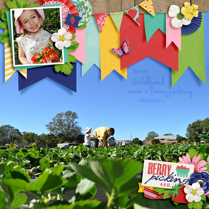 13-08-04-Berry-picking-700