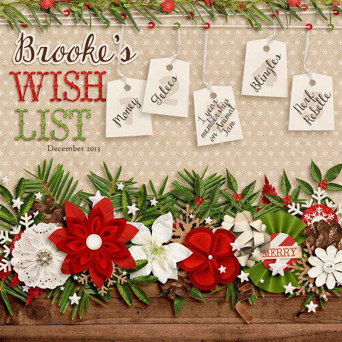 13-12-01-Brooke_s-wish-list-700