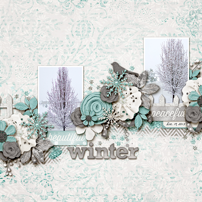 131219-Winter-700