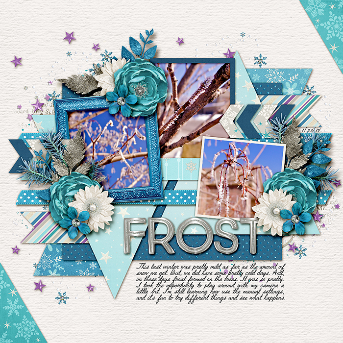140123-Frost-700