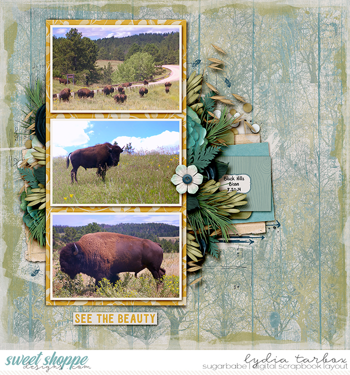 140820-Black-Hills-Bison-Watermark