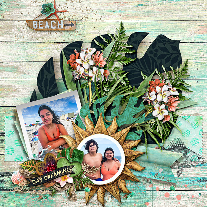 15-bd-tnp-HERECOMESTHESUN-