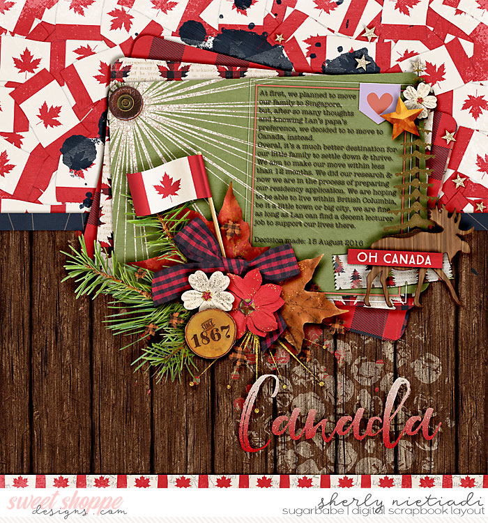 160815_canada_celebratecanada-copy