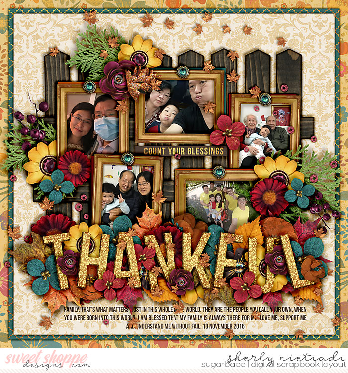 161110_lsj_thanksgiving-copy