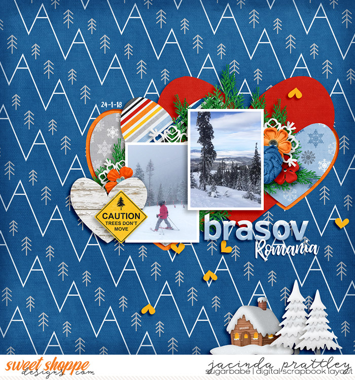 18-01-24-Brasov-Romania-700b