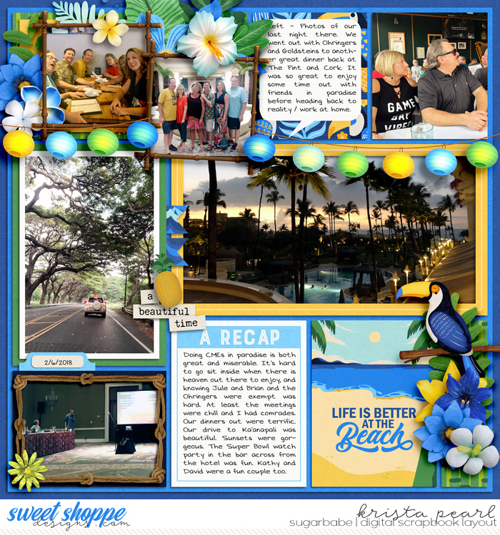 2-18-Maui-recap-SSD