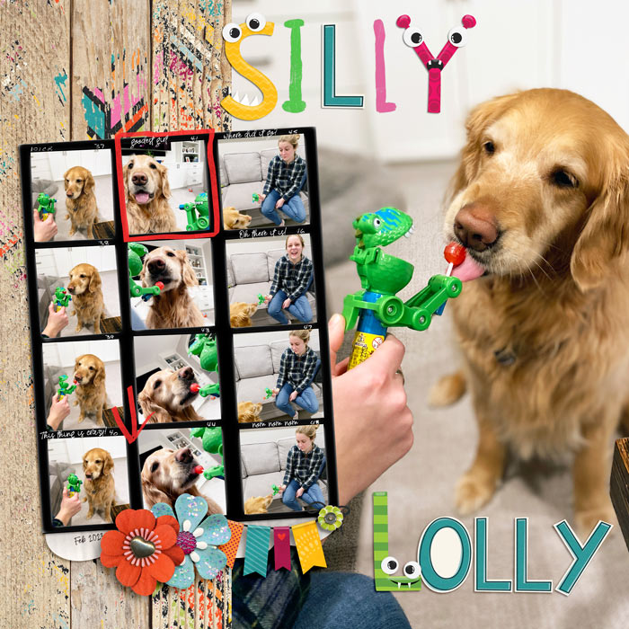 2-23-Silly-Lolly700