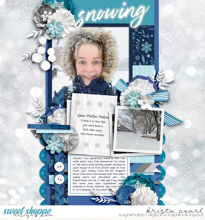 2-23-Snowing-SSD