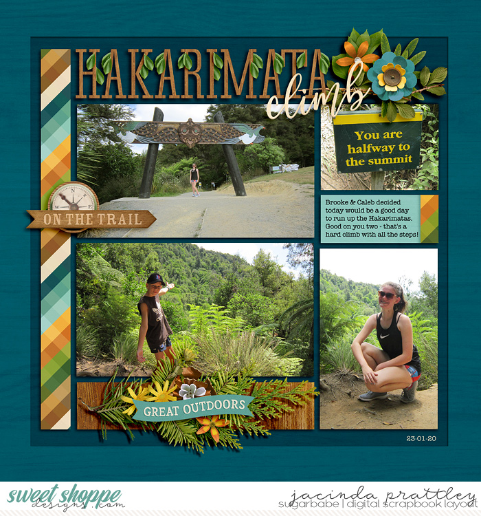 20-01-23-Hakarimata-climb-700b