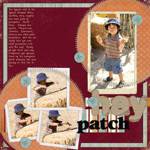 20071008_FAB_hay_patch