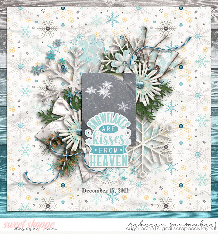2011_12_17-snowflakes-riverrose-winterwonderlandFWP-temp