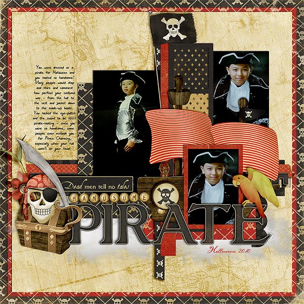 2011_13_HandsomePirateWEB