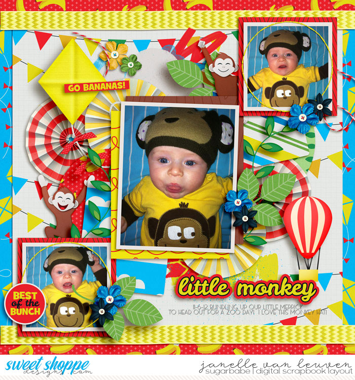 2012-11-6-Little-Monkey