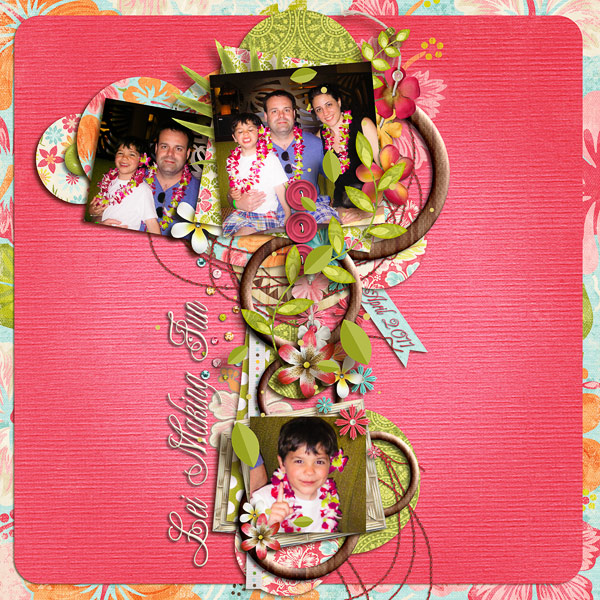 20120503_alohasunshine