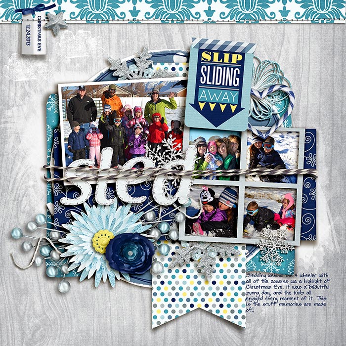 2013-12-24-Sled-WEB