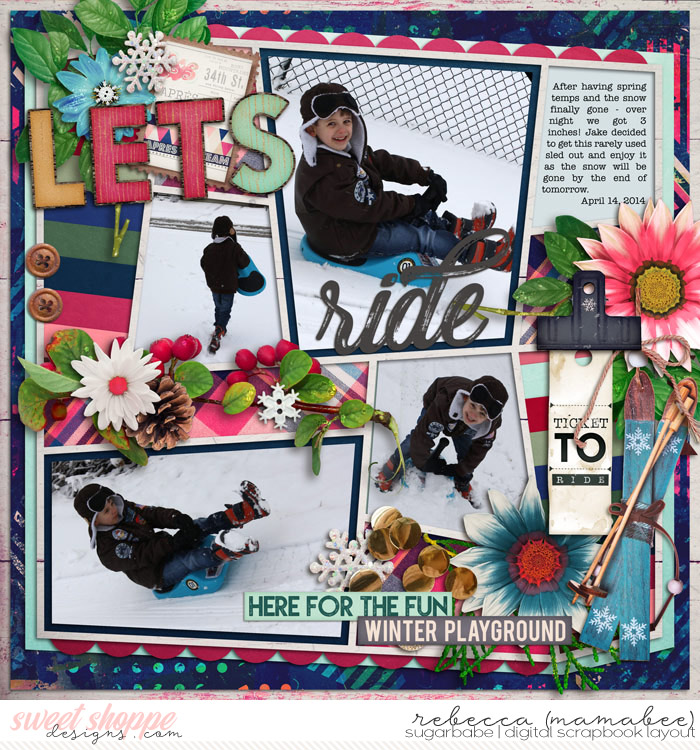 2014_4_14-sledding-cschneider-HP350pg1