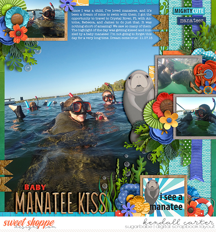 2015-11-07_ManateeKiss_WEB_KC