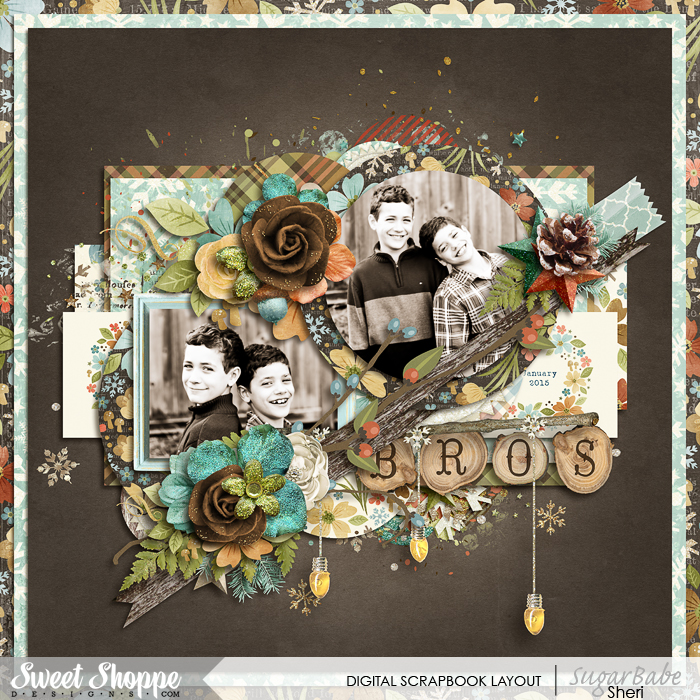 20150204_WoodlandWinter