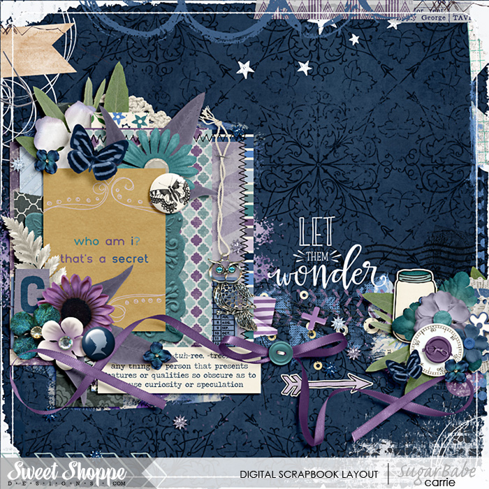 2015MysteryBagWebWM