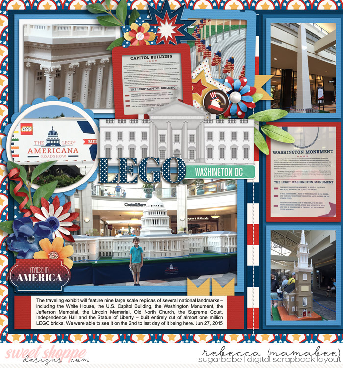 2015_6_27-LEGO-americana-roadshow-cschneider-palooza234left