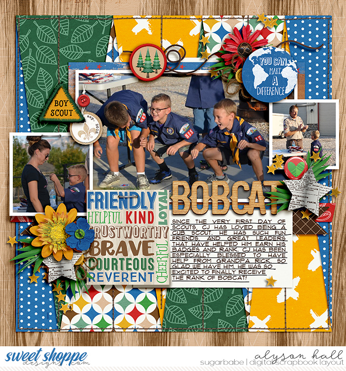 2016-09-Bobcat-WEB-WM