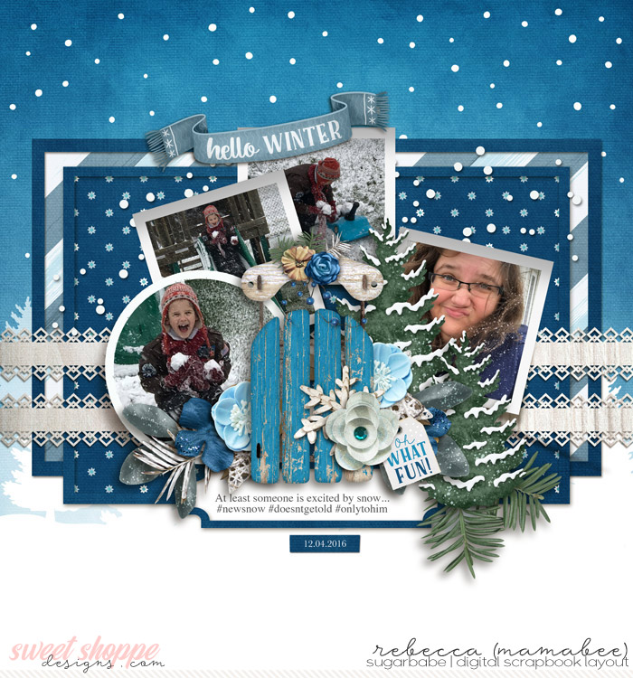 2016_12_4-snow-fun-tnp-winterwoodsv2-pd3