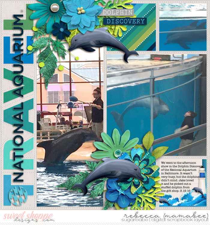 2016_3_19-dolphin-discovery-wendyp-pageprotectors-summer-4