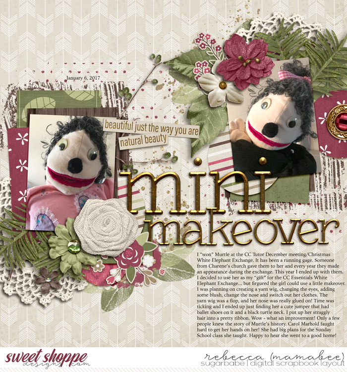 2017_1_6-mini-makeover