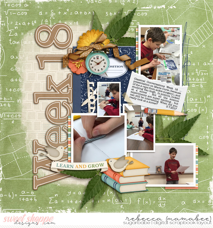 2017_3_7-cc-week-18-ljs-4story-earlyspring4
