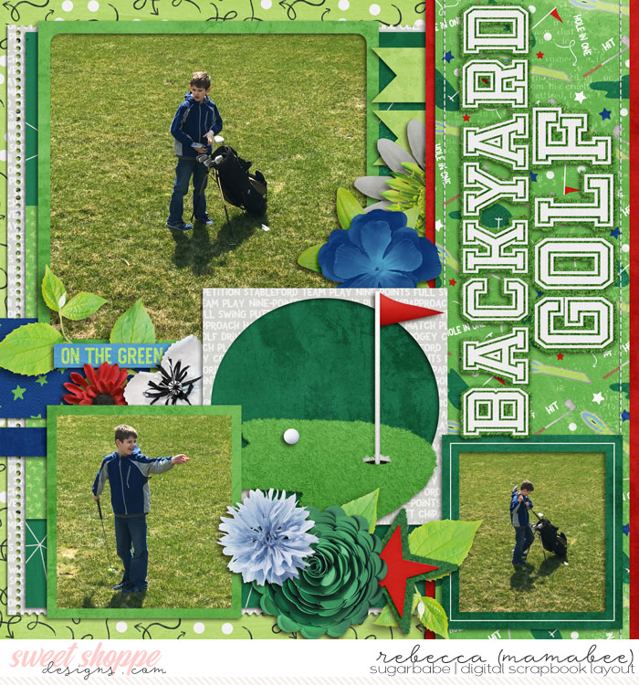 2017_4_8-backyard-golf-cschneider-DTF9left