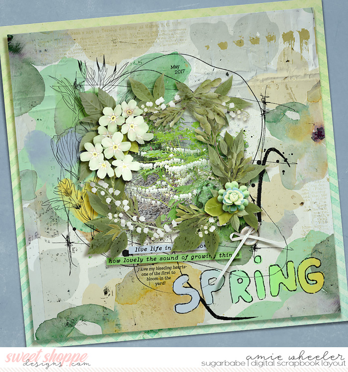 2017_5_Spring-babe