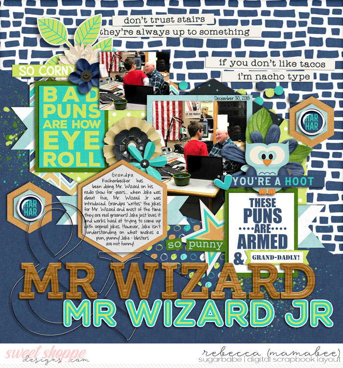 2018_12_30-mr-wizard-and-jr-HP168pg1