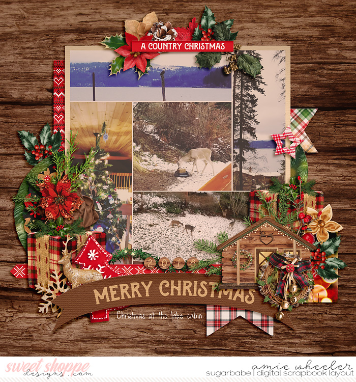 2018_12_Merry_Christmas_at_the_Lake-babe