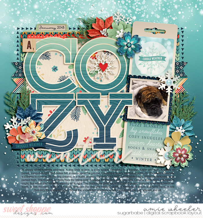 2018_1_A_Cozy_Winter-babe