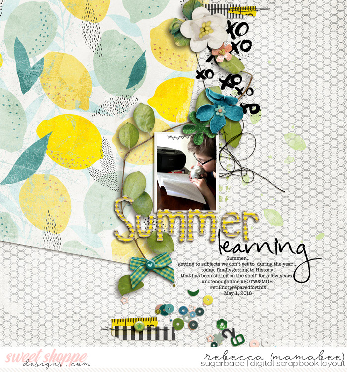 2018_5_1-summer-learning-prd_aboutlemonslife_temp_01