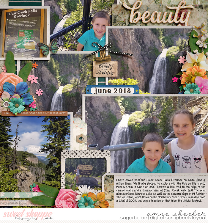 2018_6_Beauty-babe